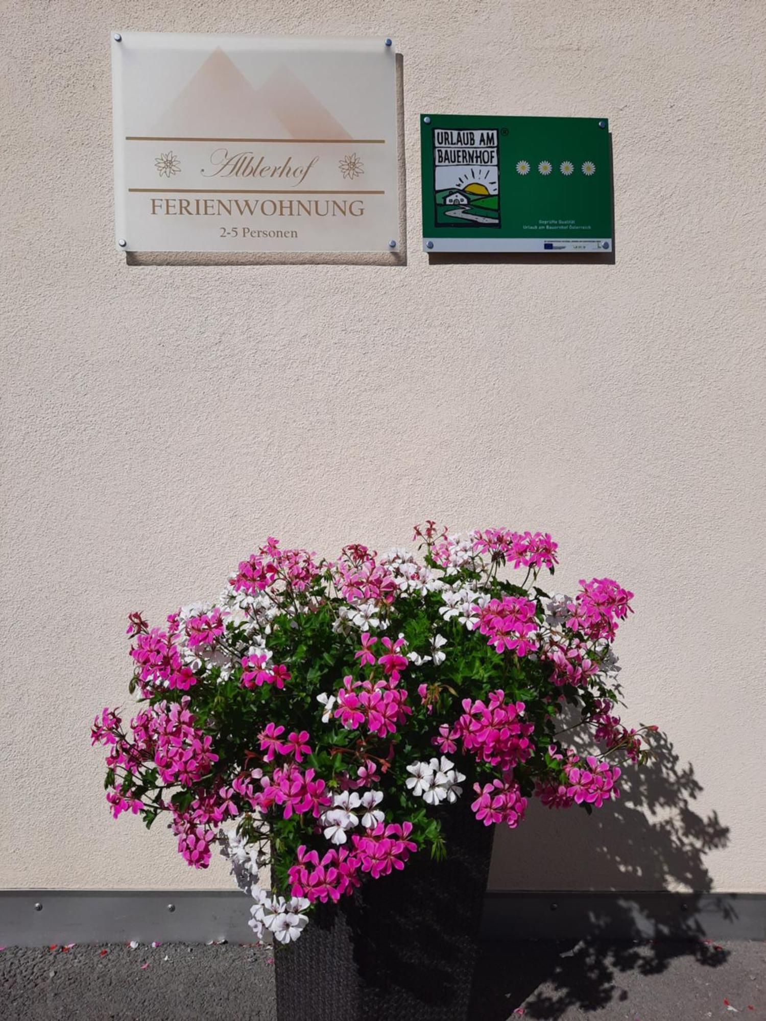 Appartement Alblerhof à Pfunds Extérieur photo